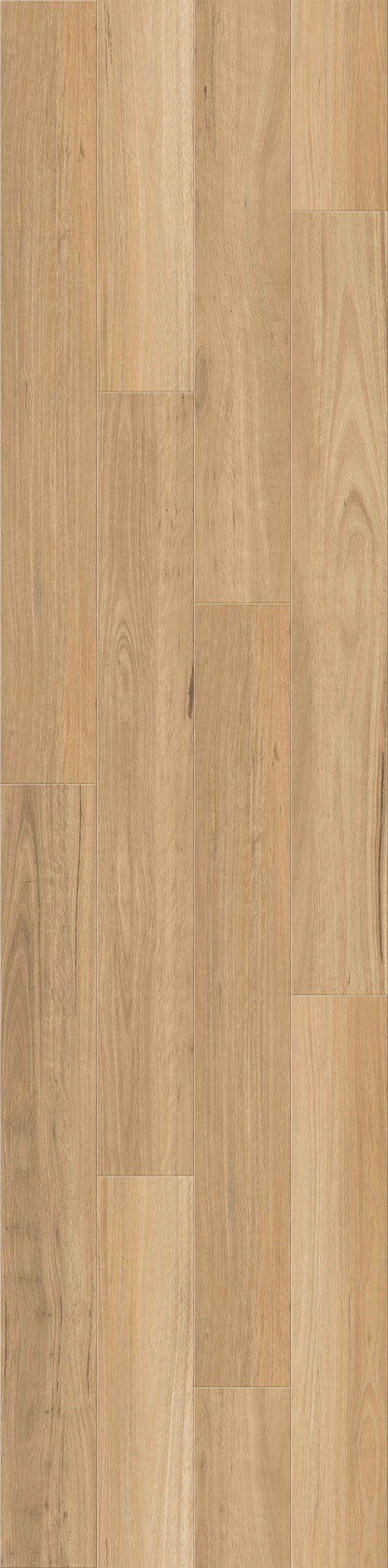 ResiPlank Summit 977 Coastal Blackbutt 9.7mm (price per sqm)