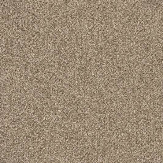 Bourkesgate 1955 Lawson Carpet (price per sqm)