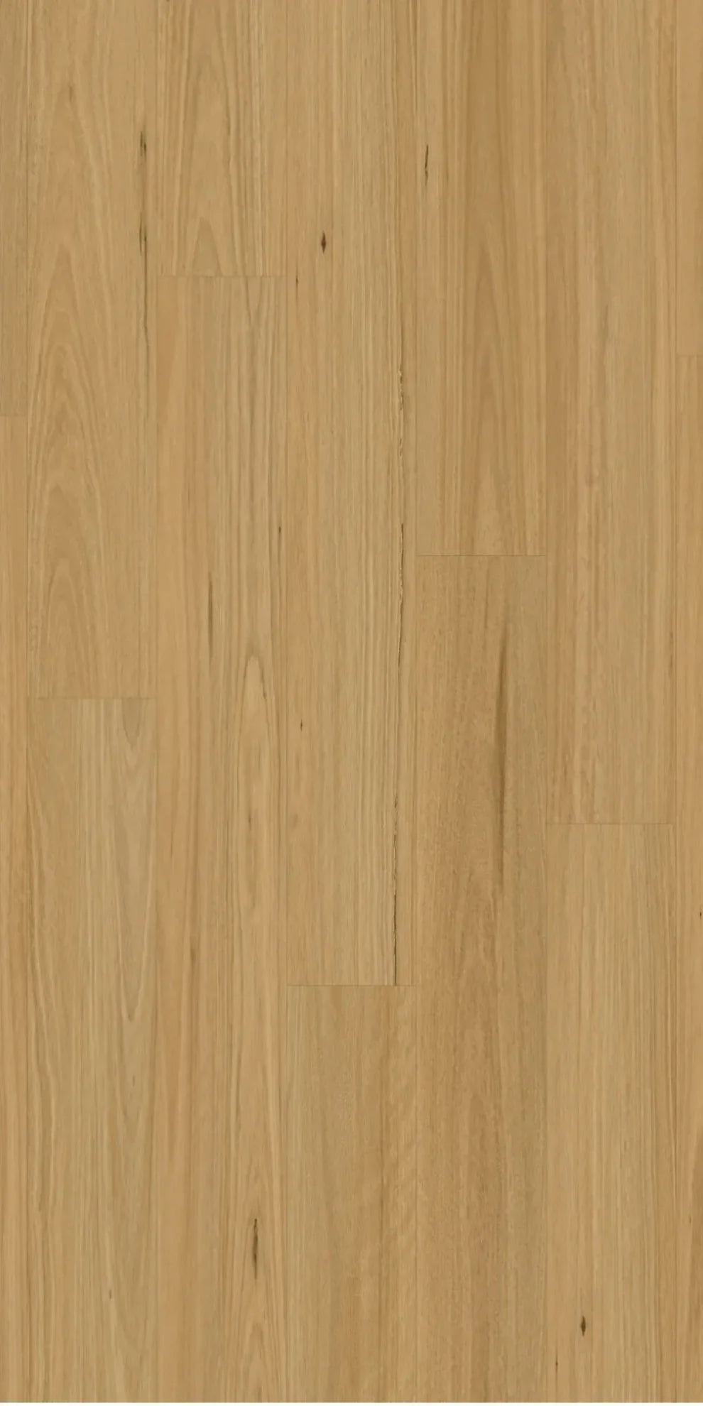 Swish Laminate Bespoke - Blackbutt Light (Price per sqm)