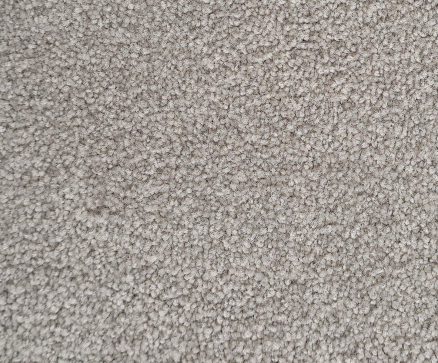 Essential Images 11/- Ashwood Twist Pile Carpet (price per sqm)