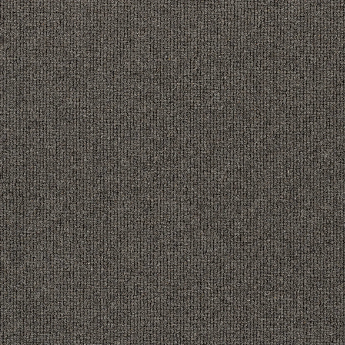 Hause 5088 Eighty Eight Carpet (price per sqm)