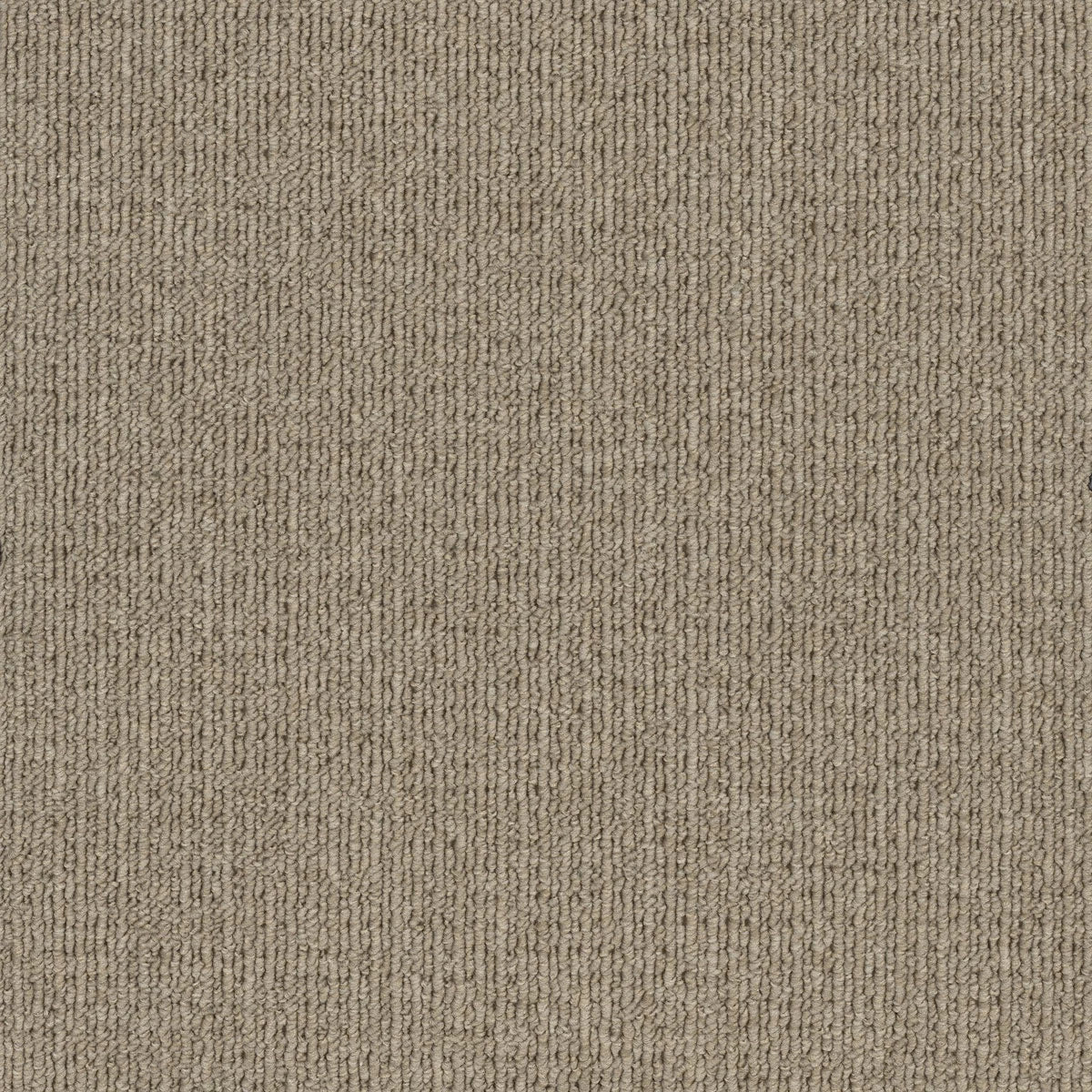 Savanna 2932 Rivergum Carpet (price per sqm)