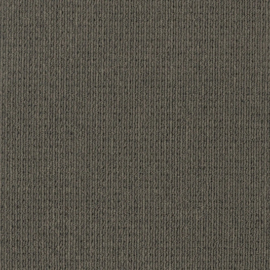 Savanna 2933 Coolibah Carpet (price per sqm)