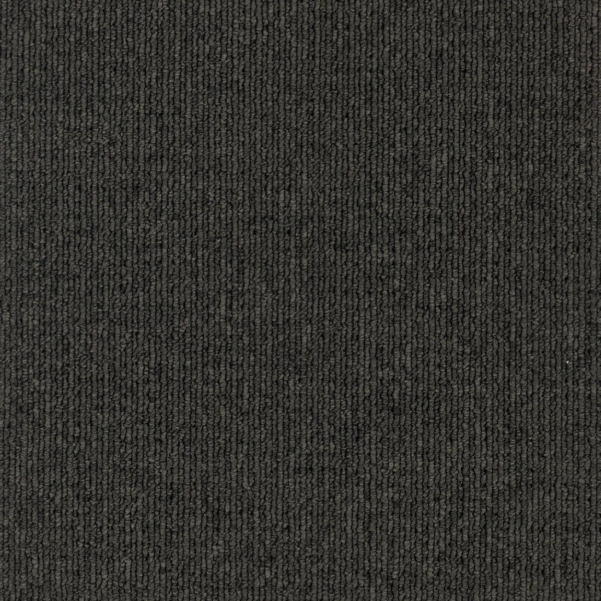 Savanna 2935 Applebush Carpet (price per sqm)