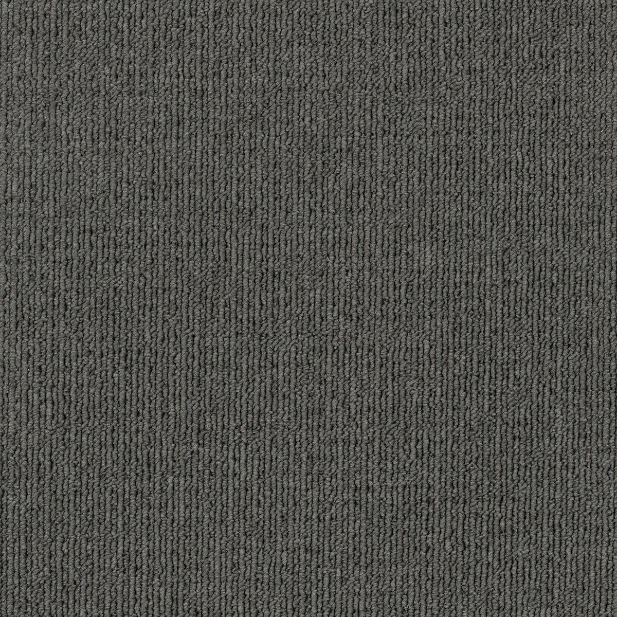 Savanna 2937 Wattle Carpet (price per sqm)