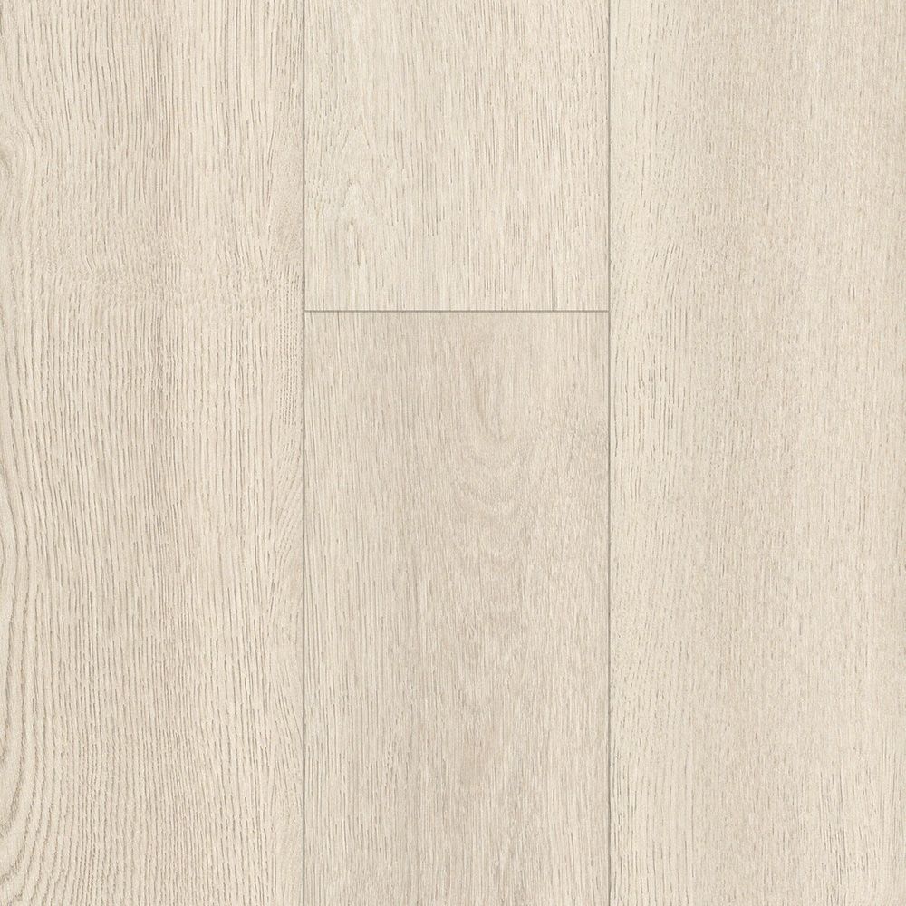 Casita 12mm Laminate AC4  - Shell 3801 (Price per sqm)
