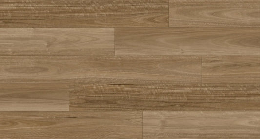 Ornato Luxury Vinyl Plank - Spotted Gum 5.3mm (Price per sqm)